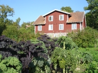 Skärva gårds bostadshus med verksamheter
